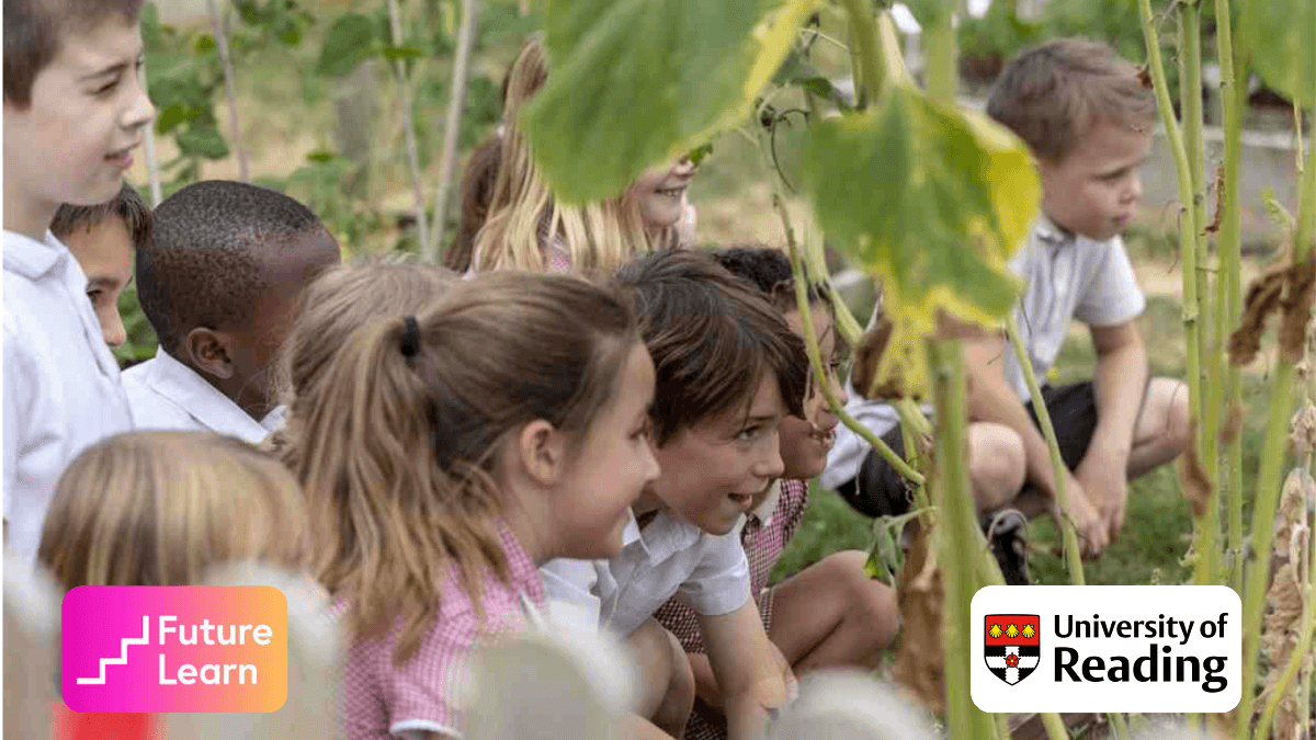 Supporting Successful Learning in Primary School